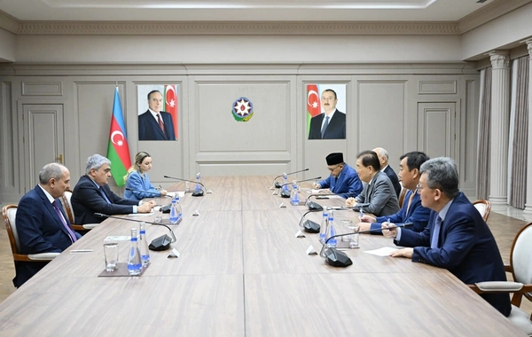 Samir Şərifov ICAPP Daimi Komitəsinin nümayəndə heyəti ilə görüşüb