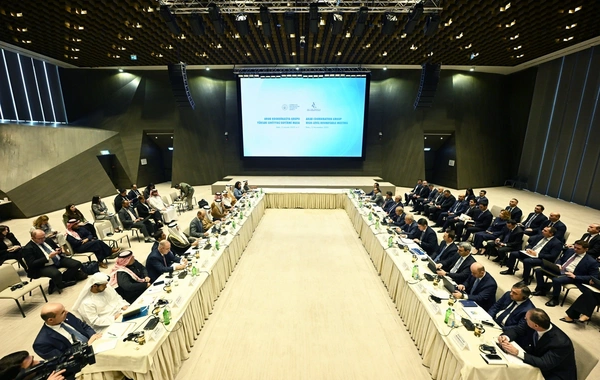 Микаил Джаббаров принял участие в круглом столе высокого уровня Арабской координационной группы