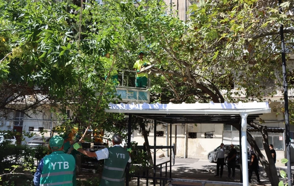 Bakıda güclü küləklərlə bağlı qabaqlayıcı tədbirlər görülüb