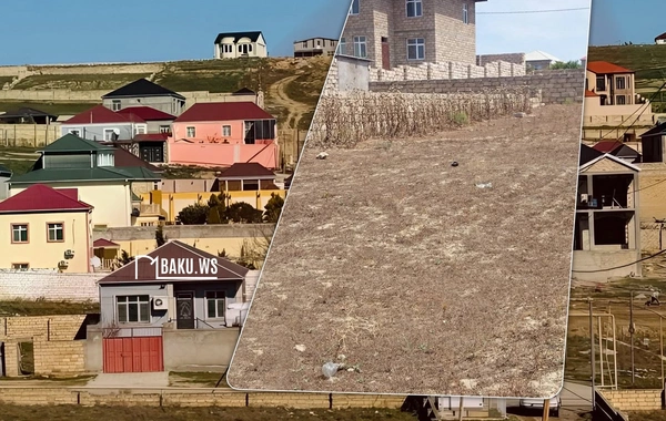 Ucuz torpaq sahələri satışa çıxarılır - İlkin qiymətlər açıqlandı
