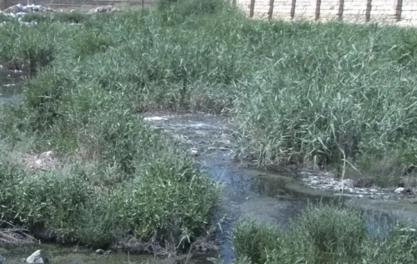 Sumqayıtda kanalizasiya PROBLEMİ: "Çirkab sular həyətin içinə dolur"