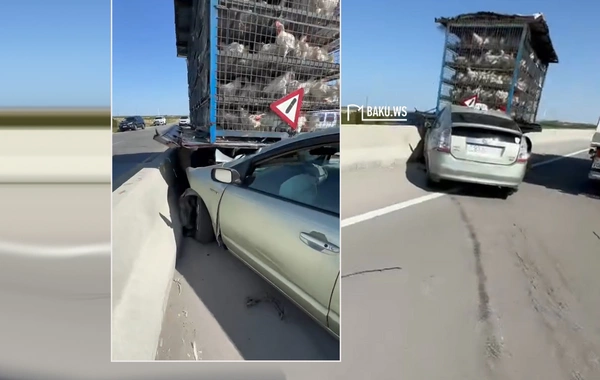 "Prius" toyuq daşıyan yük maşınına çırpılıb