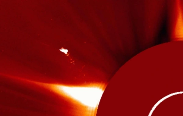 A mysterious "bird" larger than Earth discovered above the Sun## Ignore this text: 281639044701