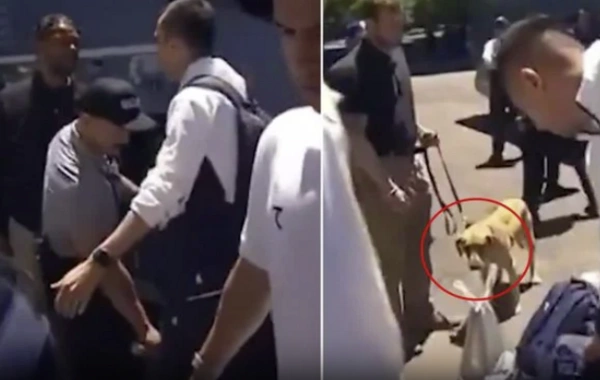 Dünya Çempionatı öncəsi komandaları narkotik itləriylə YOXLADILAR