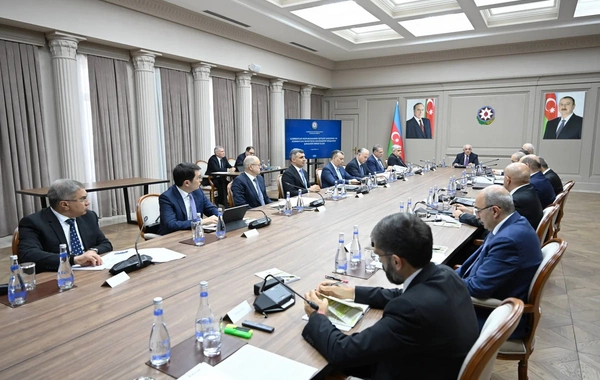 İqtisadi Şuranın və Azərbaycan İnvestisiya Holdinqinin Müşahidə Şurasının birgə iclası keçirilib