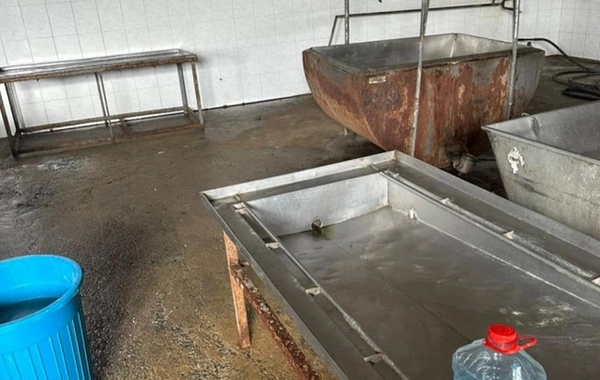 Süd və süd məhsullarının istehsalı müəssisəsində nöqsanlar aşkarlanıb