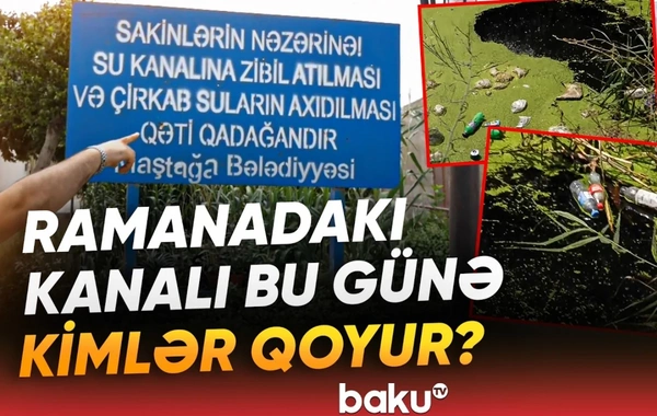 Sabunçu sakinlərinin şikayəti: Baxımsız kanal və sahibsiz küçə itləri