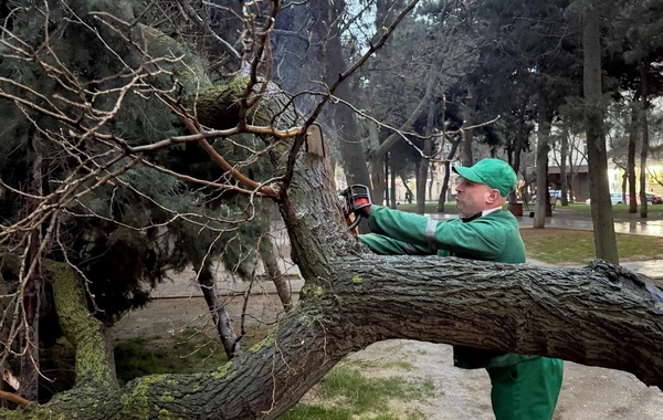 BŞİH: Bakıda intensiv yağışlar fəsadlar törədib, qurumlar gücləndirilmiş rejimdə işləyir