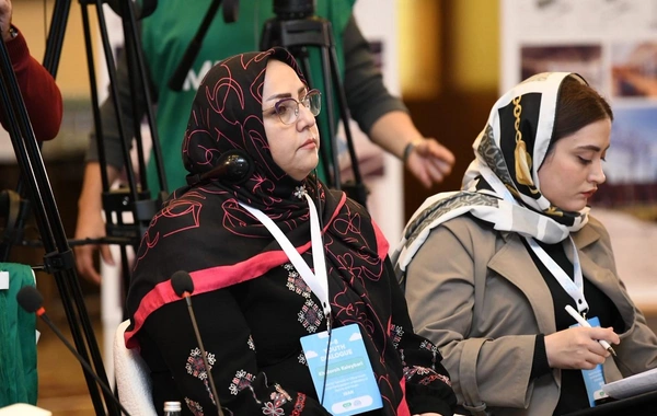 Bakıda D-8 ölkələrinin Gənclər Dialoqunun rəsmi açılış mərasimi keçirilib