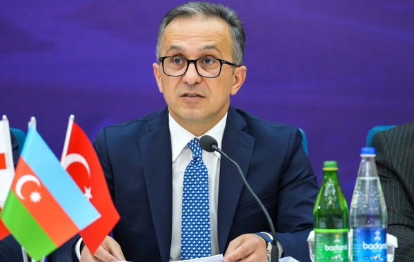 Naxçıvanda "Zəngəzur yolu: tarixin izi ilə" mövzusunda konfrans keçirilir