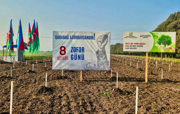 Zəfər Günü ilə əlaqədar 30 mindən artıq ağac əkildi
