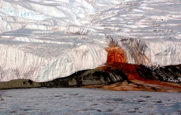 Blood Falls in Antarctica has revealed the secret of ancient life