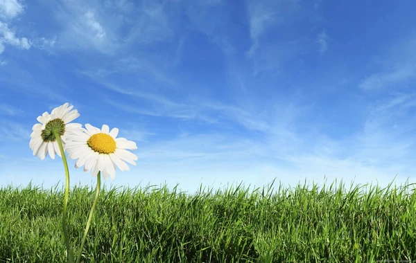 Ötən ay Azərbaycanda havanın temperaturu iqlim norması ilə müqayisədə 24 gün yuxarı olub