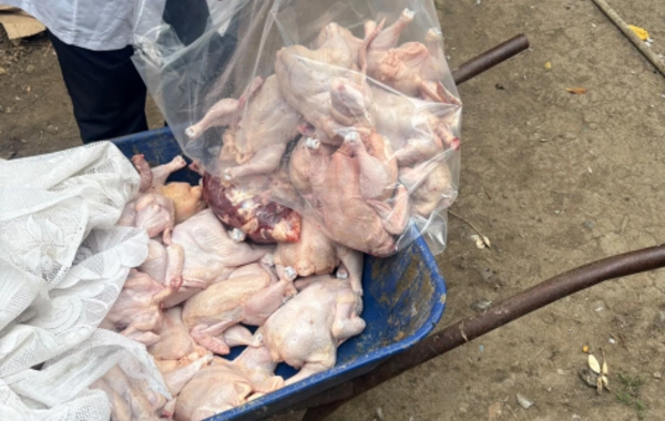 Masallıda toyuq kəsimi sahələrində nöqsanlar aşkarlanıb