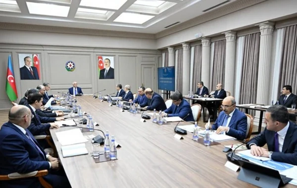 İqtisadi Şuranın iclası keçirildi: Qurumlara tapşırıqlar verildi