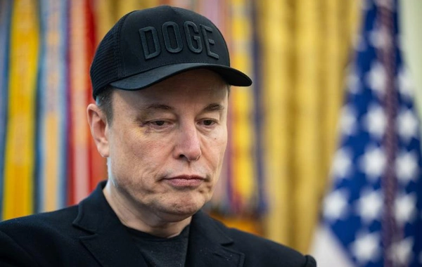 Why did Elon Musk postpone the creation of his party in the USA?