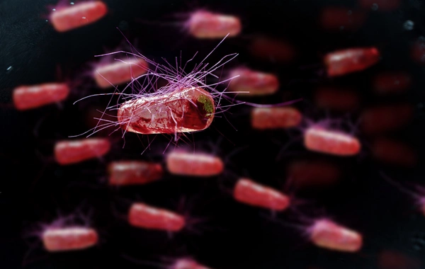 Scientists have created a weight loss product based on natural substances