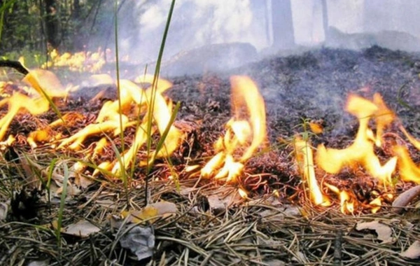 Kəlbəcərdə açıq ərazidə yanğın başlayıb