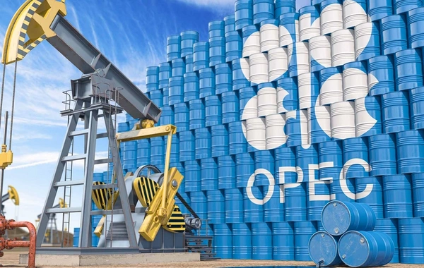 OPEC+ ölkələri dekabrda neft hasilatını gündəlik 197 min barel azaldıb