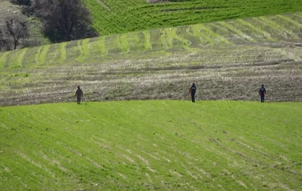 Запущенная из Ирана ракета сбита в воздушном пространстве Турции