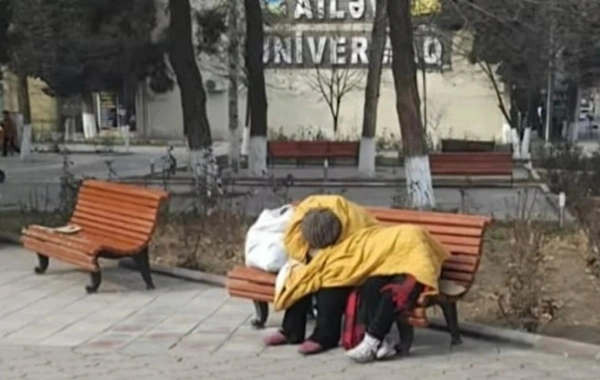 Küçədə yaşayan ana və oğlu ilə bağlı qurumlar nəyi açıqladılar?