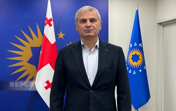 Gürcüstan parlamentinin komitə sədri: İlham Əliyev Gürcüstandakı vəziyyəti yaxşı bilir, onun bəyanatları obye