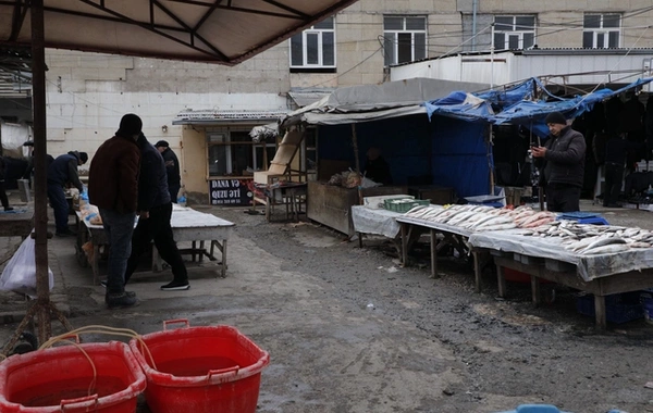 Salyanda ərzaq bazarında ciddi nöqsanlar aşkarlandı
