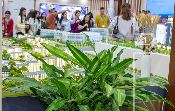 WUF13-ün beşinci günündən maraqlı anlar - FOTOREPORTAJ