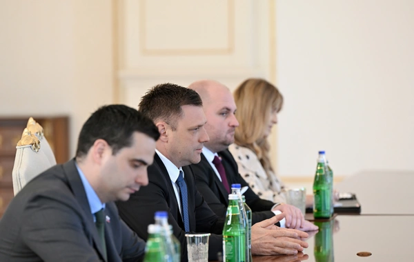 İlham Əliyev Slovakiya Baş nazirinin müavinini qəbul edib