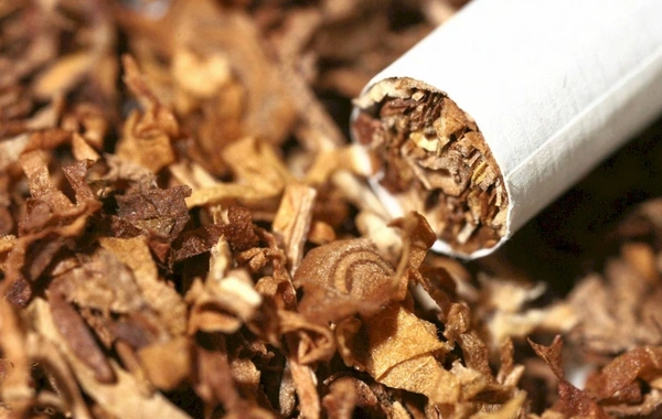 Azərbaycan tütün idxalına çəkdiyi xərci 6 %-ə yaxın artırıb