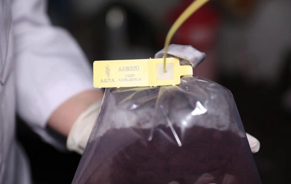 Açıq şəkildə satılan kələm turşusu ilə bağlı araşdırma aparılır