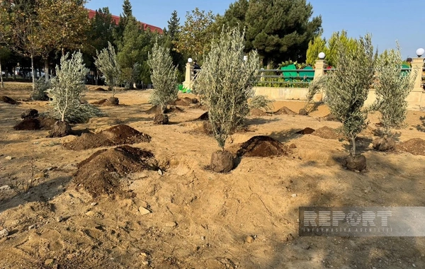 Sumqayıtda Zəfərin 5-ci ildönümü qeyd olunub