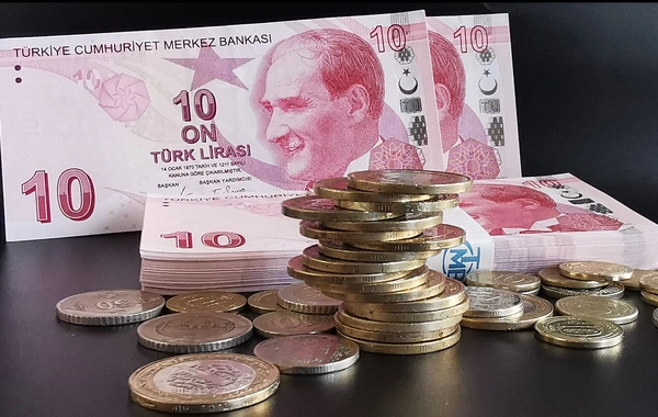 Турецкая лира бьет новый антирекорд
