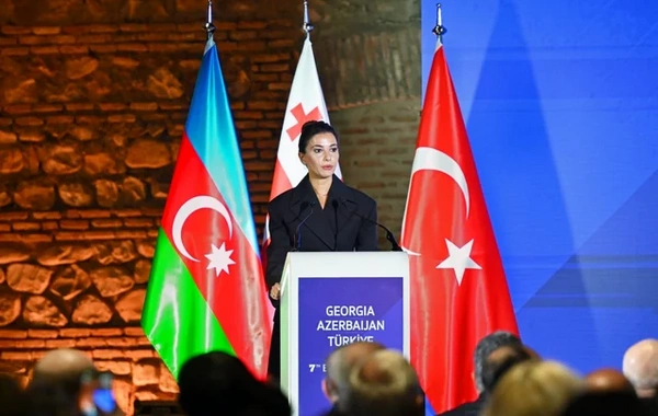 Azərbaycan-Türkiyə-Gürcüstan biznes forumunda MÜHÜM MÜZAKİRƏLƏR