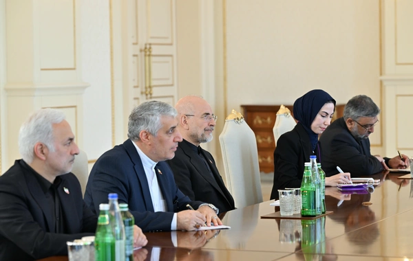 Prezident İlham Əliyev İran İslam Şurası Məclisinin sədrinin başçılıq etdiyi nümayəndə heyətini qəbul edib