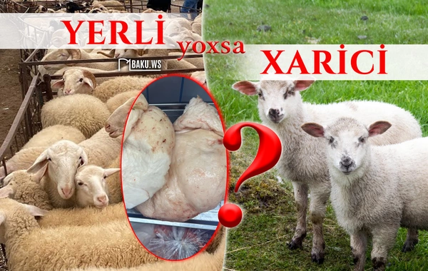 11 manata təklif edilən Beyləqan quzusunun quyruğu müzakirələrə səbəb oldu