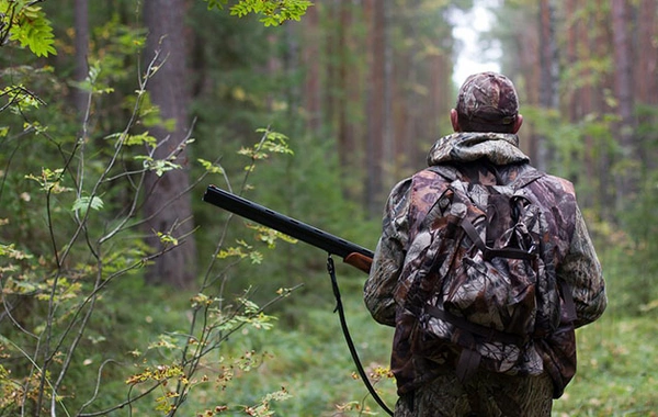 Sabahdan Azərbaycanda ov mövsümü açılır