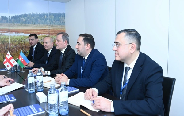 Azərbaycanla Gürcüstan arasında bir sıra sahələr üzrə əməkdaşlıq müzakirə edilib