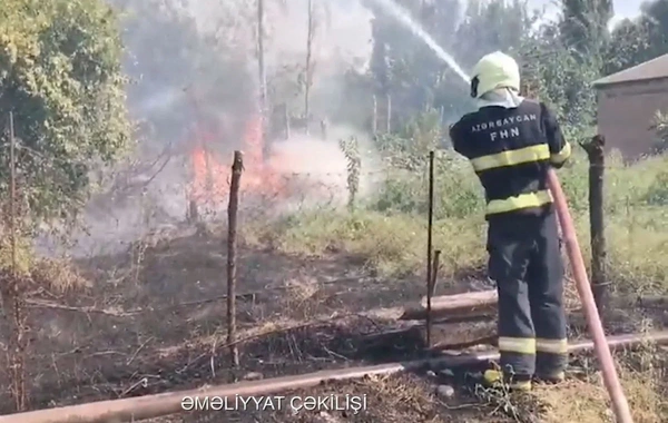 Bərdə rayonunda 800 kvadratmetr ərazidə quru ot və kol-kos yanıb
