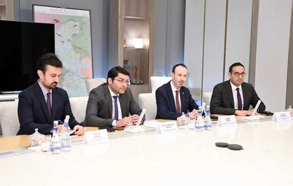 SOCAR və TPAO birgə həyata keçirdikləri layihələrin icra vəziyyətini müzakirə edib