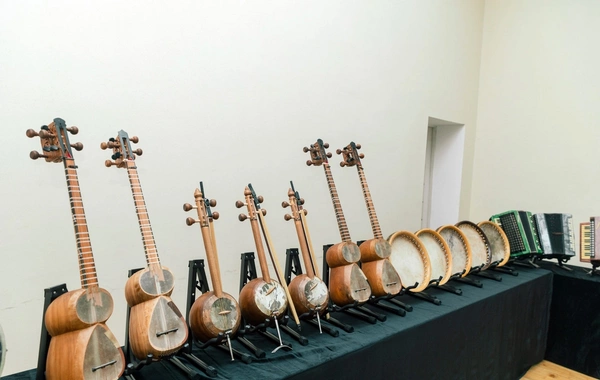 Leyla Əliyeva Mingəçevirdə şəhid ailəsini ziyarət edib, bir sıra sosial müəssisələrlə tanış olub