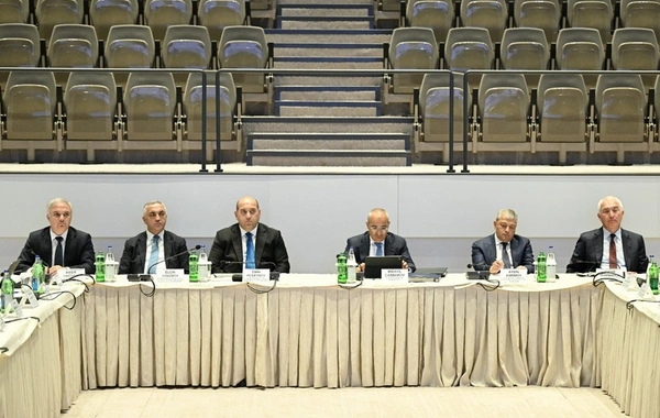 Mikayıl Cabbarov: "Azərbaycanın qeyri-neft-qaz sektoru üzrə ÜDM üç ildə 1,2 dəfə artıb"