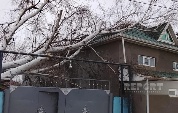 Biləsuvar və Cəlilabadda güclü külək bir sıra fəsadlara səbəb olub