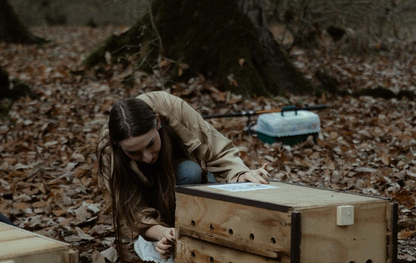 Leyla Əliyeva, Arzu Əliyeva və Alena Əliyeva Lənkəranda ekoloji aksiyalarda iştirak ediblər