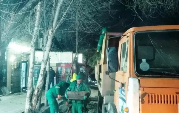 Bakıda güclü külək 78 ağacı aşırdı, 40 ağacın budaqları qırıldı