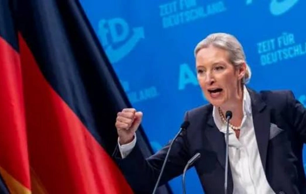 Almaniyada AfD seçkidə tarixi nəticə göstərdi