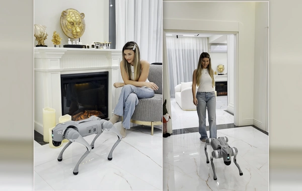 Azərbaycanlı bloger evinə robot aldı