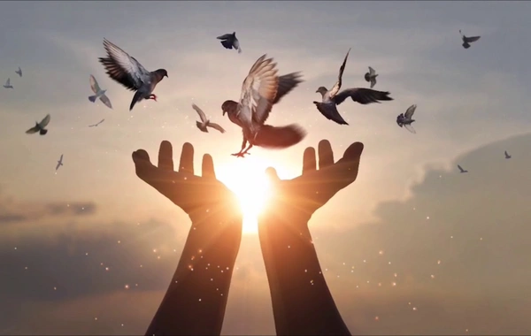 Единственный знак зодиака, которому Бог даровал уникальную способность