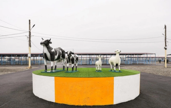 Çox insanın gözlədiyi XOŞ XƏBƏR - Yaxın günlərdə...