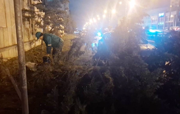 Bakıda güclü külək 78 ağacı aşırdı, 40 ağacın budaqları qırıldı